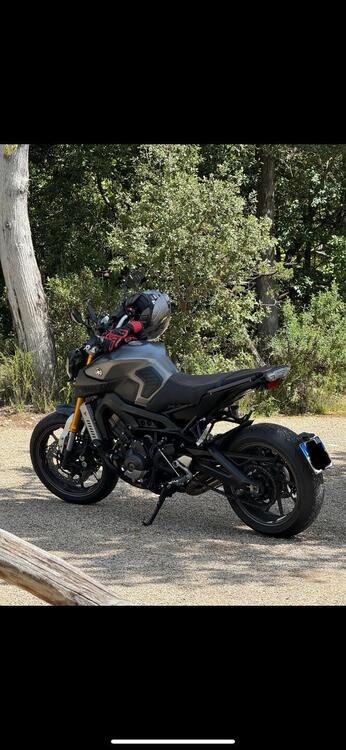 Yamaha MT-09 Sport Tracker (2014 - 16) (2)