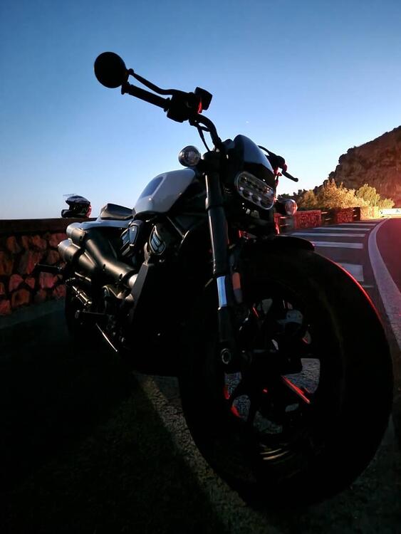 Harley-Davidson Sportster S (2022 - 24) (3)