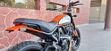 Ducati Scrambler 800 Icon (2017 - 20) (7)