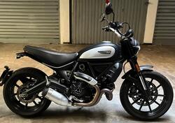 Ducati Scrambler 800 Icon Dark (2021 - 22) usata