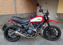 Ducati Scrambler 800 Icon (2015 - 16) usata