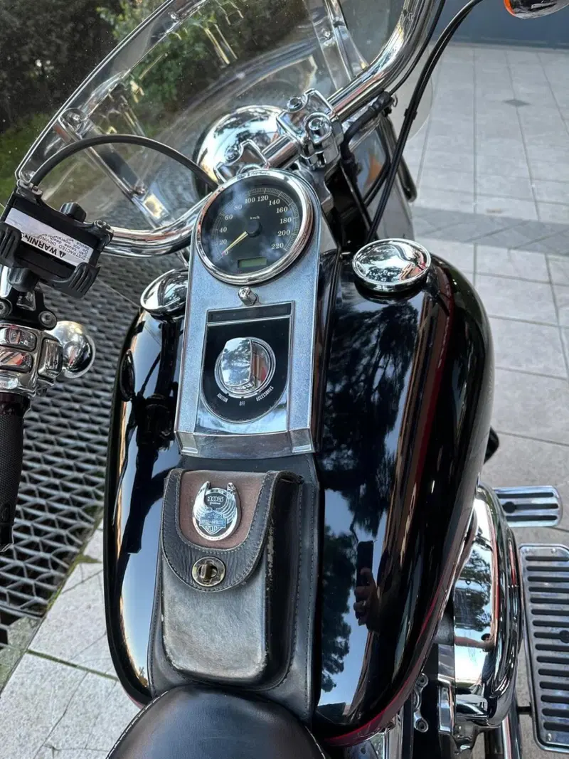 Harley-Davidson 1584 Fat Boy (2006 - 07) - FLSTF (6)