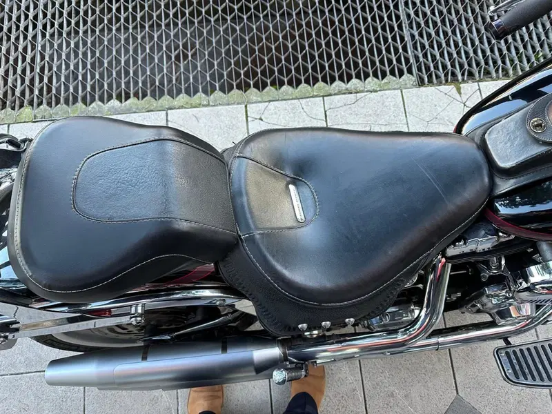 Harley-Davidson 1584 Fat Boy (2006 - 07) - FLSTF (7)