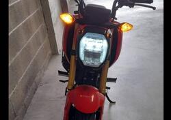 Honda MSX 125 Grom (2021 - 25) usata