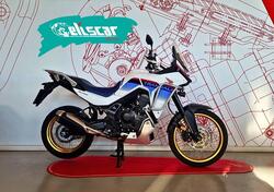 Honda Transalp XL750 (2023 - 24) usata