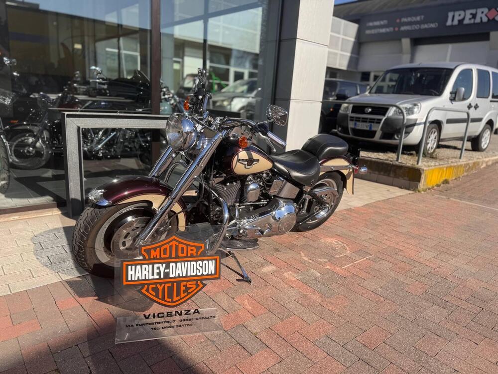 Harley-Davidson FAT BOY 95 ANNIVERSARIO (2)