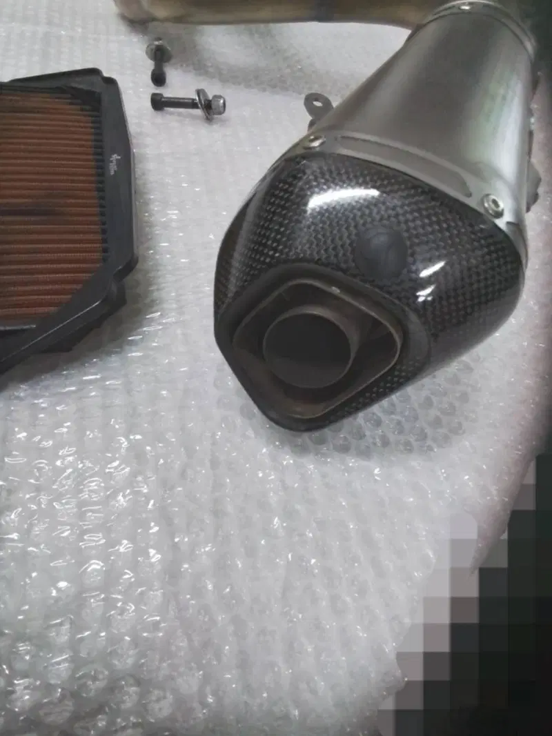 Scarico completo TERMIGNONI in titanio per HONDA C (11)