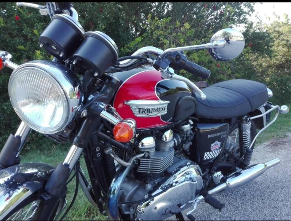 Triumph Bonneville T100 (2008 - 16)