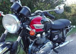 Triumph Bonneville T100 (2008 - 16) usata