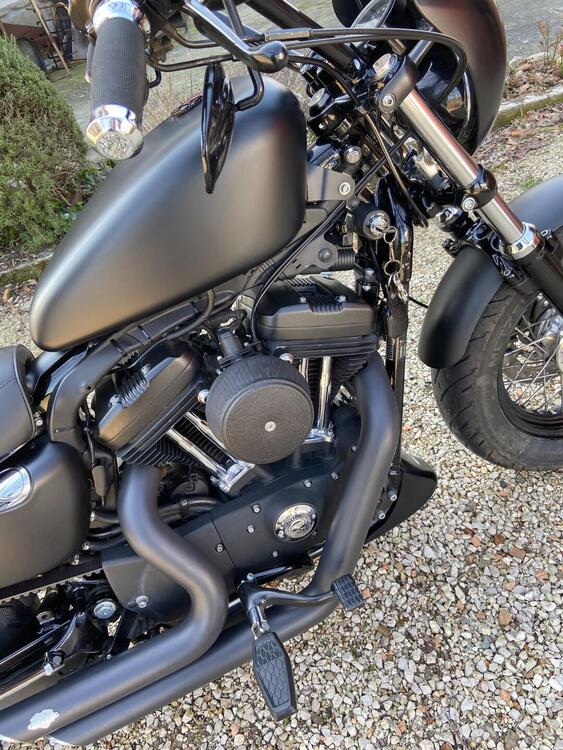 Harley-Davidson 1200 Forty-Eight (2010 - 15) (2)