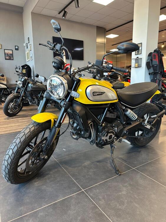 Ducati Scrambler 800 Icon (2017 - 20) (5)