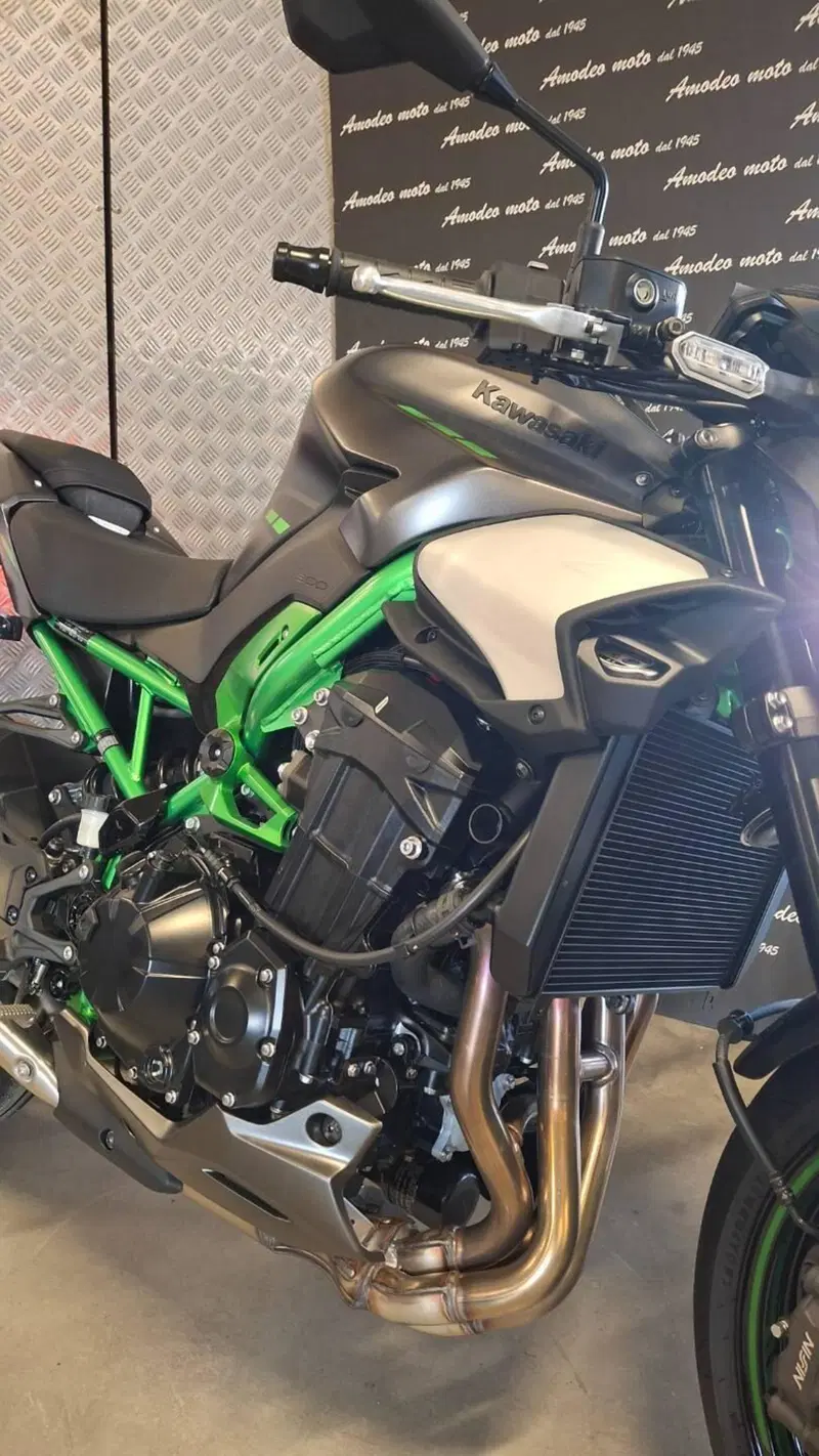 Kawasaki Z 900 (2025 - 26) (3)