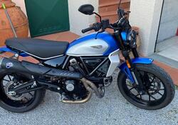 Ducati Scrambler 800 Icon (2023 - 25) usata