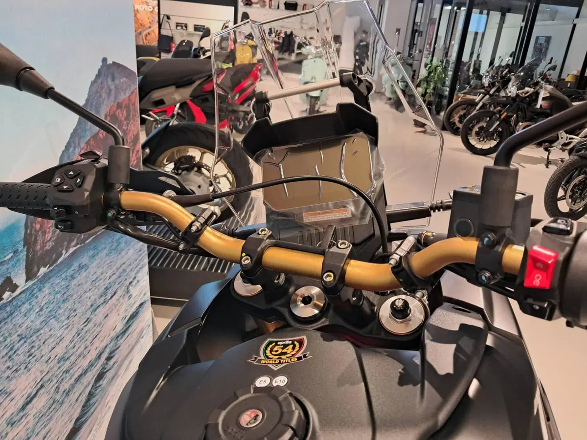 Aprilia Tuareg 660 Rally (2025 - 26) (7)
