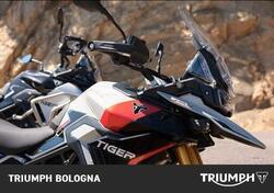 Triumph Tiger 900 Rally Pro (2024 - 25) nuova