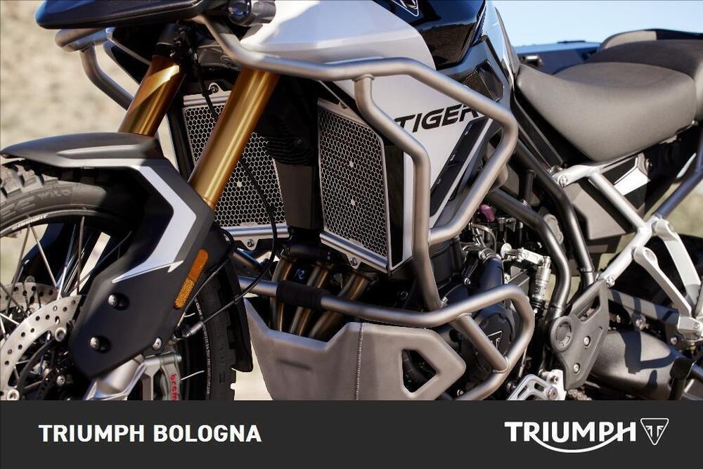 Triumph Tiger 900 Rally Pro (2024 - 25) (2)