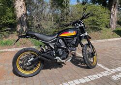 Ducati Scrambler 800 Desert Sled (2017 - 20) usata