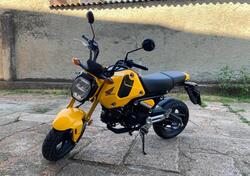 Honda MSX 125 Grom (2021 - 25) usata