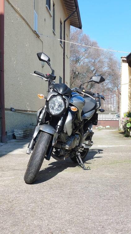 Suzuki Gladius 650 SFV (2009 - 15)
