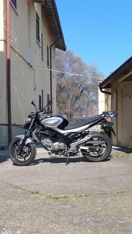 Suzuki Gladius 650 SFV (2009 - 15) (3)