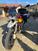 Moto Guzzi V85 TT Evocative Graphics (2019 - 20) (8)