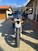 Moto Guzzi V85 TT Evocative Graphics (2019 - 20) (10)
