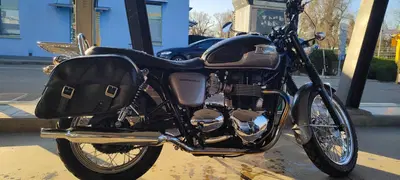 Triumph Bonneville T100 (2008 - 16) usata
