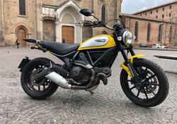 Ducati Scrambler 800 Icon (2015 - 16) usata