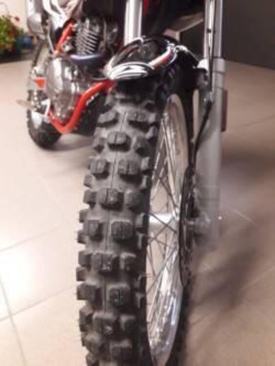 Betamotor Alp 4.0 (2018 - 20) (2)