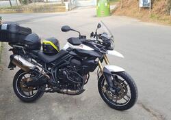 Triumph Tiger 800 ABS (2010 - 14) usata