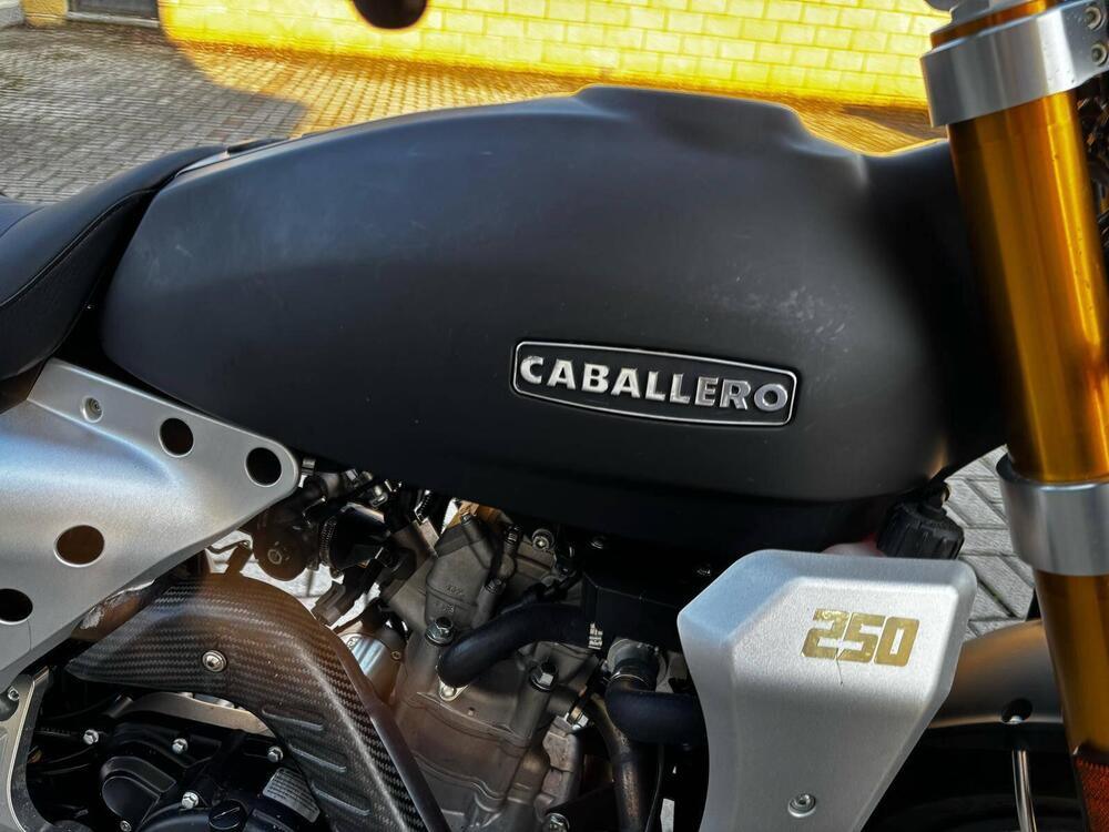 Fantic Motor Caballero 250 Flat Track (2018 - 21) (2)