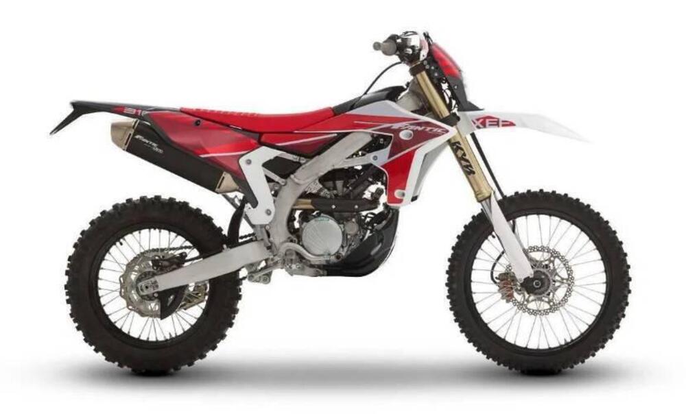 Fantic Motor XEF 310 (2025) (2)