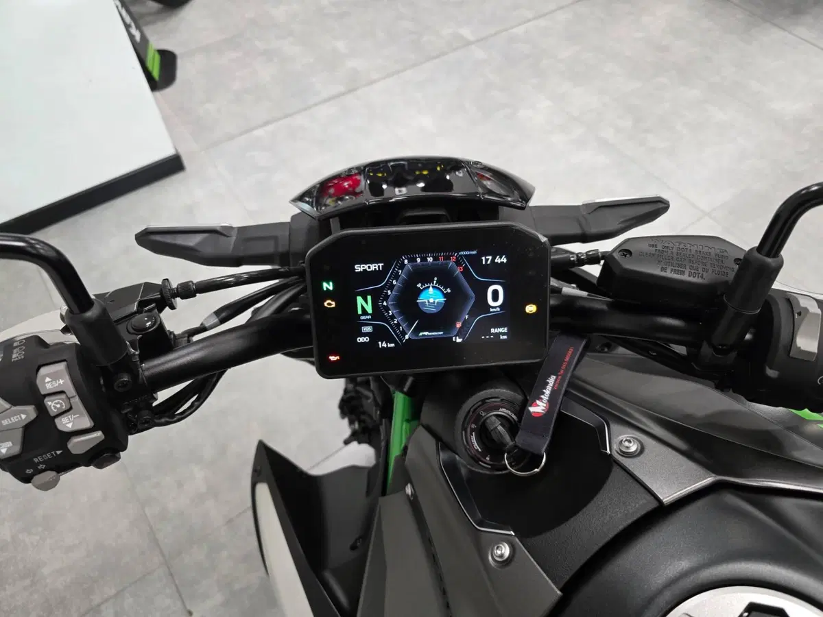 Kawasaki Z 900 (2025 - 26) (4)