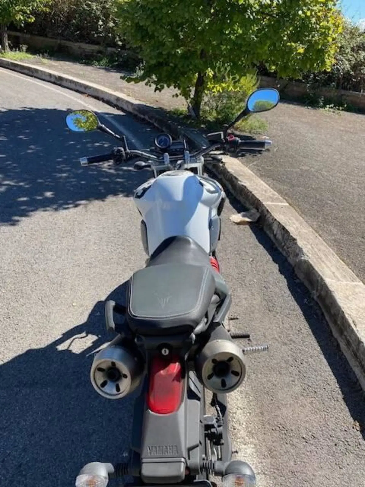 Yamaha MT-03 (2006 - 14) (2)