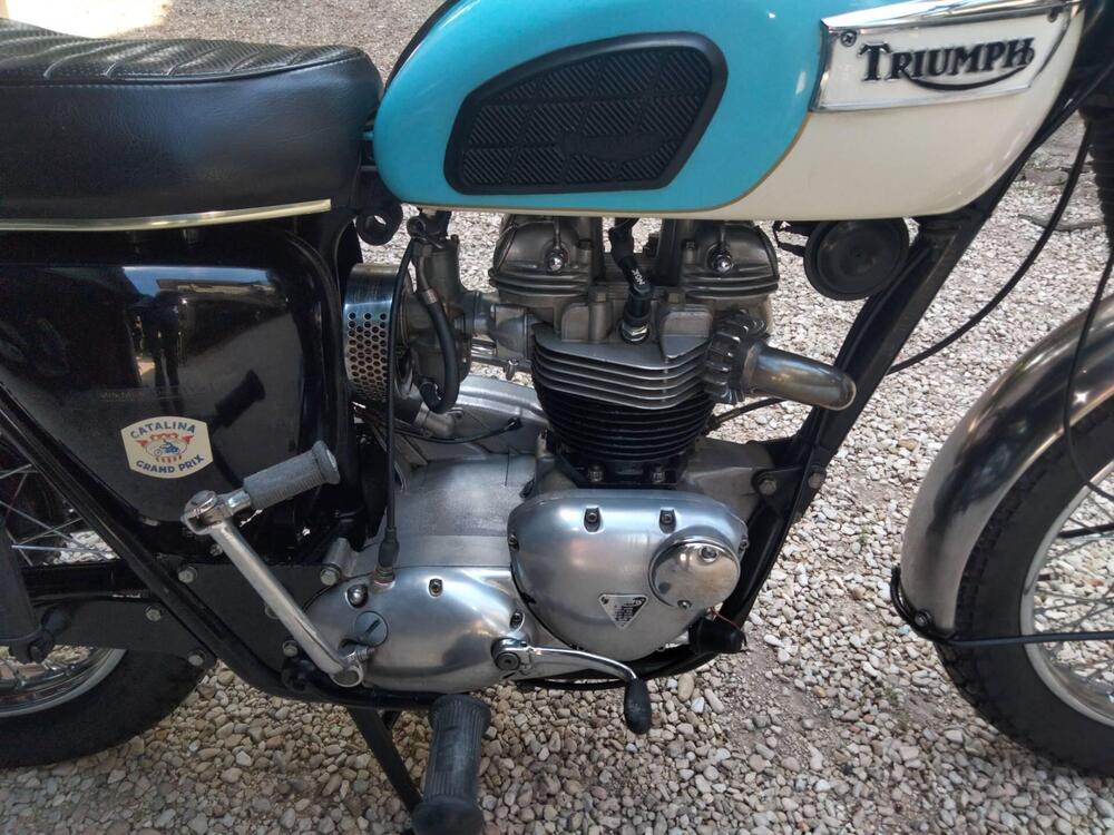 Triumph Trophy Tr6r (4)