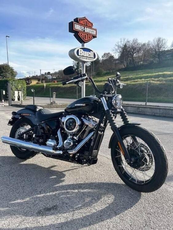 Harley-Davidson Street Bob 117 (2025)