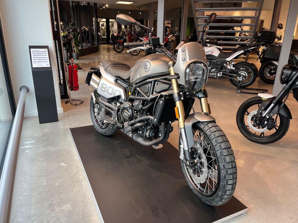 Benelli Leoncino 800 (2022 - 25)