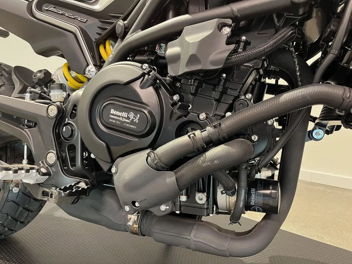 Benelli Leoncino 800 (2022 - 26) (16)
