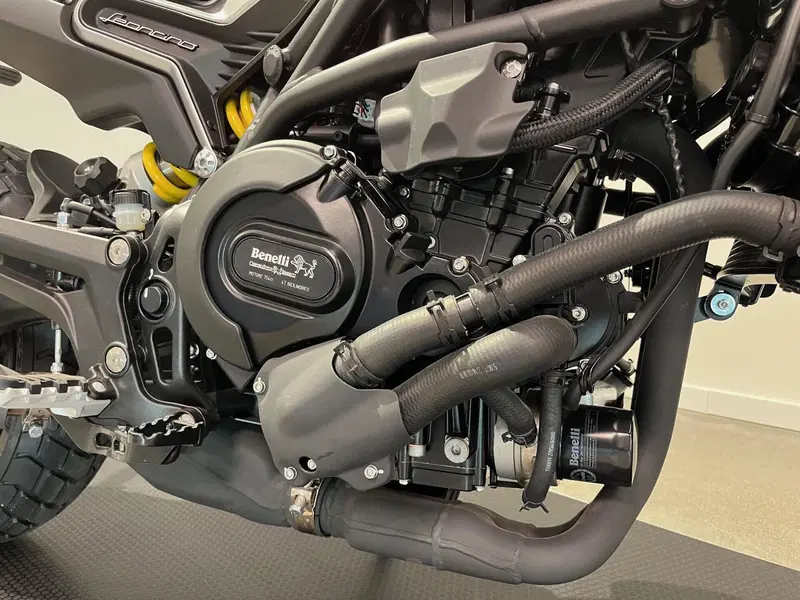 Benelli Leoncino 800 (2022 - 26) (10)