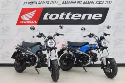 Honda Dax 125 (2025 - 26) nuova