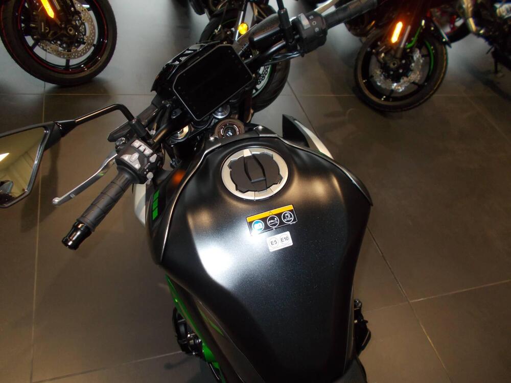 Kawasaki Z 900 (2025) (4)