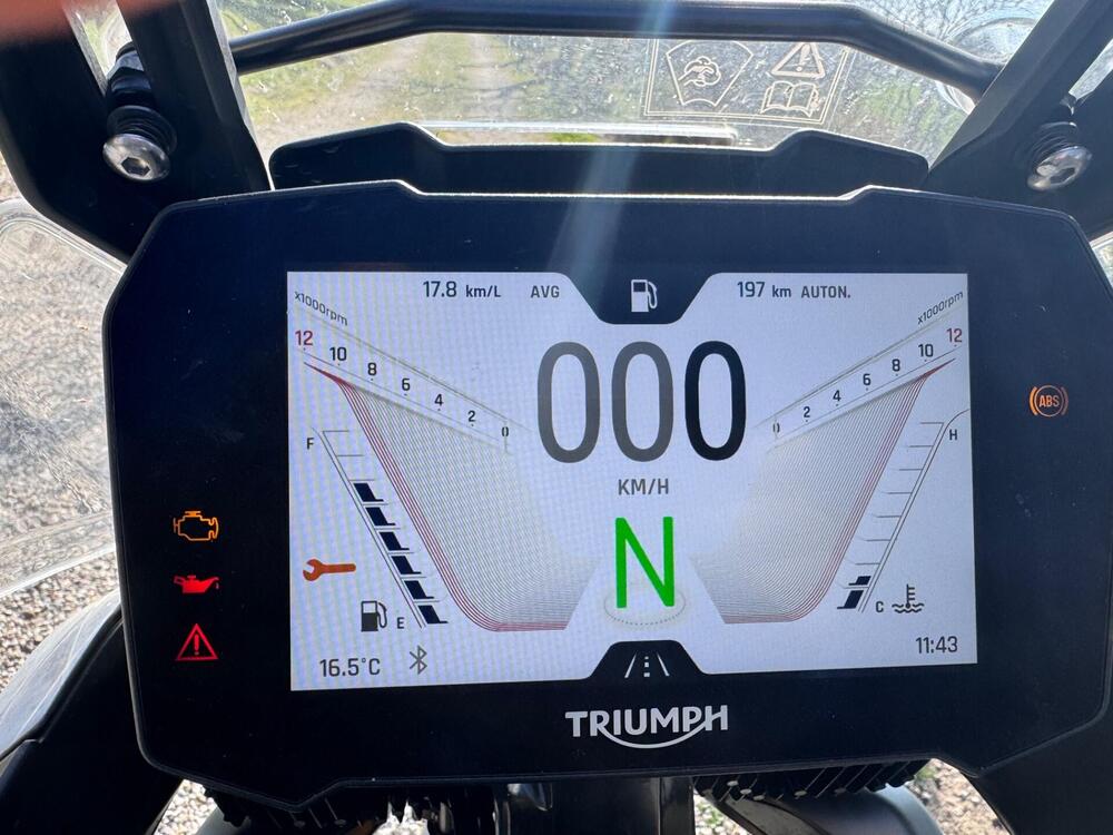 Triumph Tiger 900 Rally Pro (2020 - 23) (4)