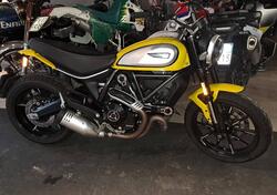 Ducati Scrambler 800 Icon (2021 - 22) usata