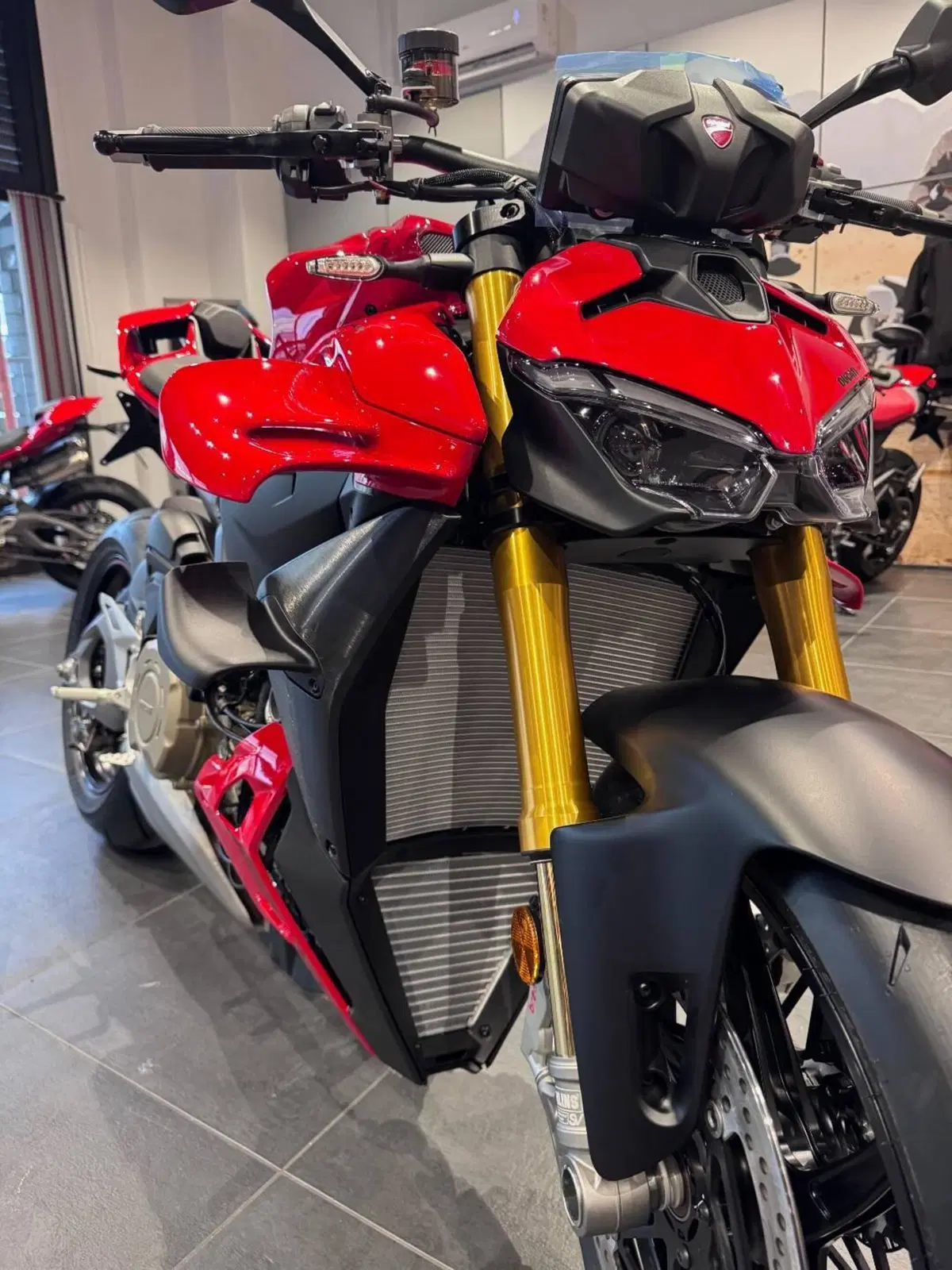 Ducati Streetfighter V4 S (2025 - 26) (4)