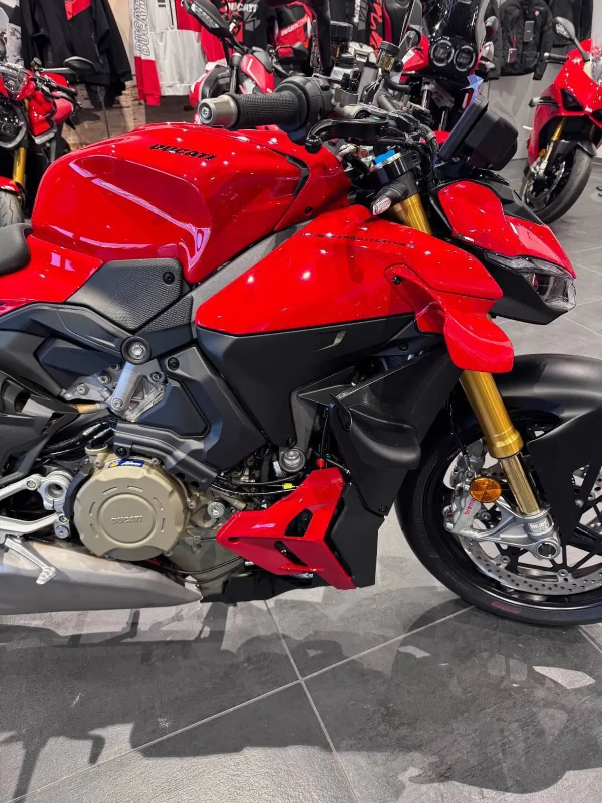 Ducati Streetfighter V4 S (2025 - 26) (6)