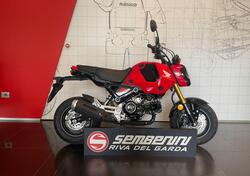Honda MSX 125 Grom (2021 - 25) nuova