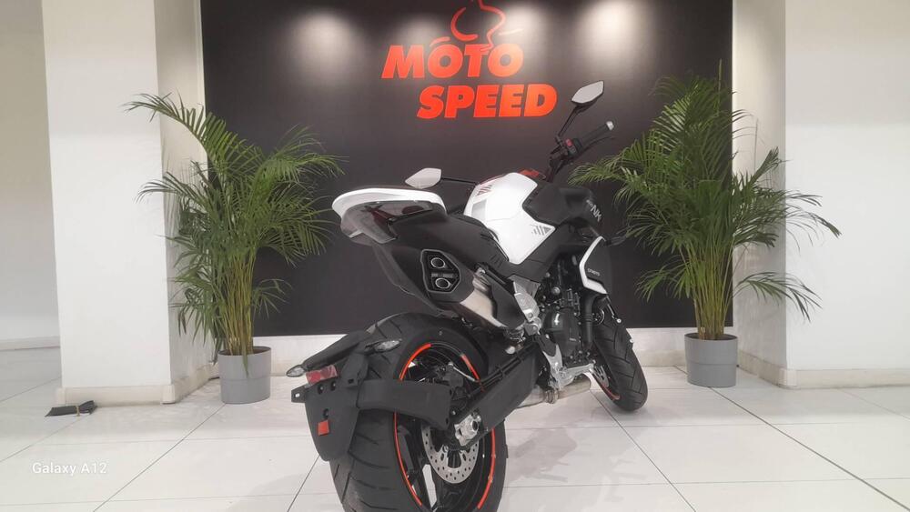 CFMOTO 800NK Advanced (2023 - 25) (2)