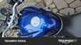 Bmw R 1200 R (2011 - 14) (25)