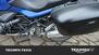 Bmw R 1200 R (2011 - 14) (14)