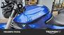 Bmw R 1200 R (2011 - 14) (8)